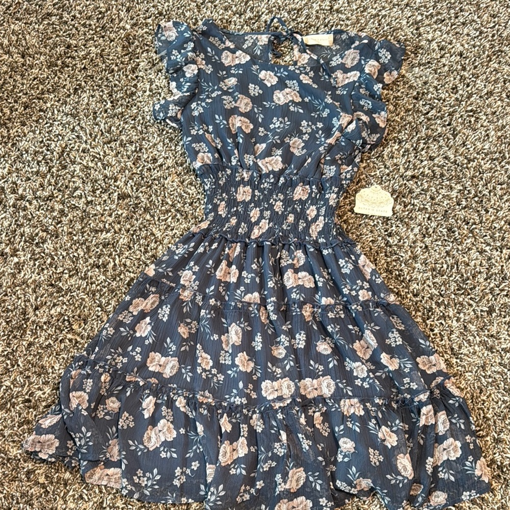 Alter’d State Floral Blue Dress